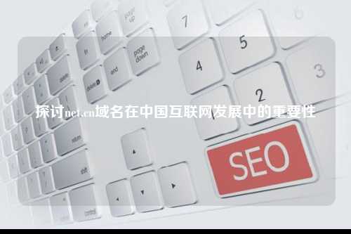 探讨net.cn域名在中国互联网发展中的重要性
