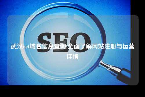 武汉net域名信息查询:全面了解网站注册与运营详情