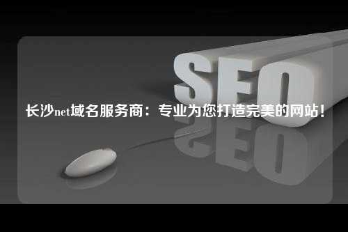 长沙net域名服务商：专业为您打造完美的网站！