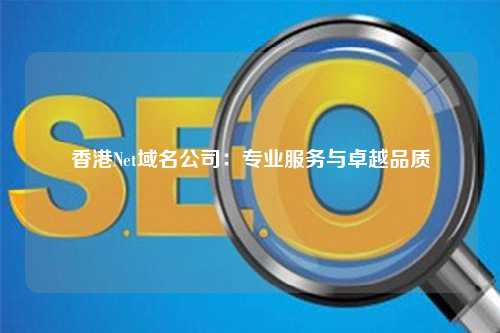 香港Net域名公司：专业服务与卓越品质